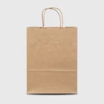 Bolsa Kraft 22X10x30 (3) Kraft