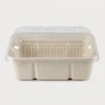 Envase 243 Bagasse Alto