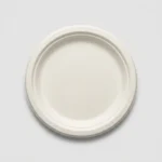 Plato Bagasse 23 Cm (20 U. x Paq)